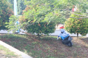 Gotong Royong dan Penanaman Pohon dalam rangka memperingati Hari Kemerdekaan RI Ke-75