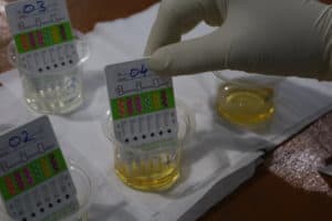 Tes Urine dalam rangka deteksi dini di Lingkungan Masyarakat Kelurahan Sambau