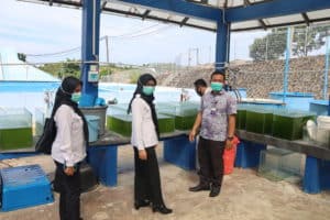 Koordinasi Dalam Rangka Sinergitas Program Pemberdayaan Alternatif Tahun 2021 Dengan Balai Perikanan Budidaya Laut Batam