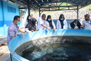 Koordinasi Dalam Rangka Sinergitas Program Pemberdayaan Alternatif Tahun 2021 Dengan Balai Perikanan Budidaya Laut Batam
