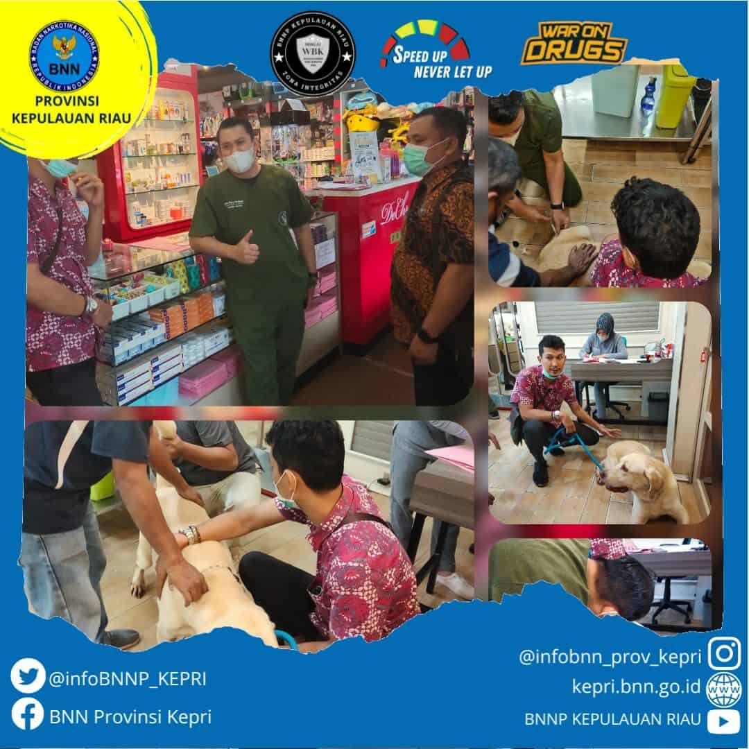 Pemeriksaan Kesehatan Satwa K9 Pemeriksaan Kesehatan Satwa K9