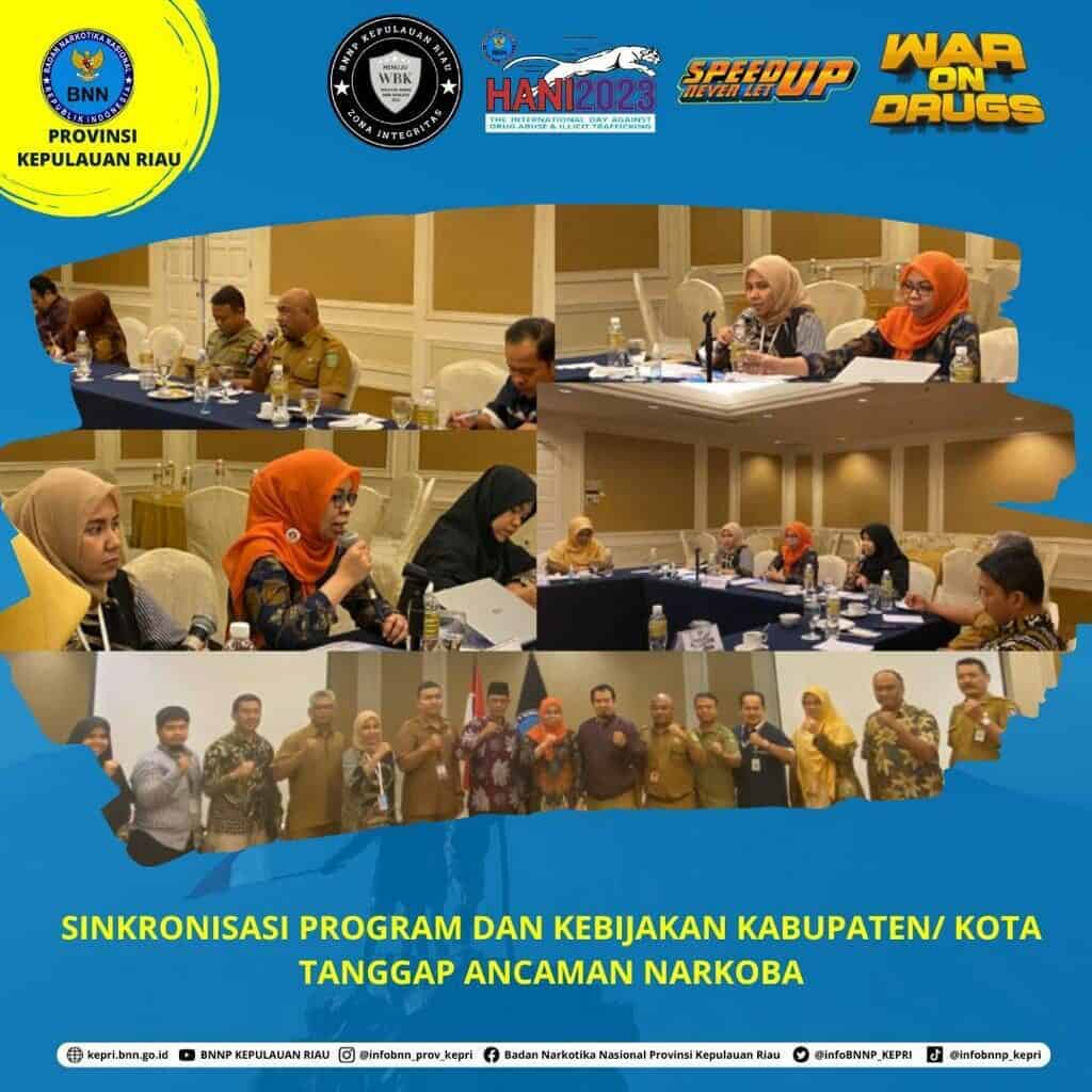 Sinkronisasi Program dan Kebijakan Kabupaten/Kota Tanggap Ancaman Narkoba Sinkronisasi Program dan Kebijakan Kabupaten/Kota Tanggap Ancaman Narkoba