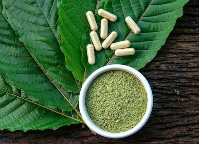 MARAKNYA PENGGUNAAN KRATOM DI INDONESIA MARAKNYA PENGGUNAAN KRATOM DI INDONESIA